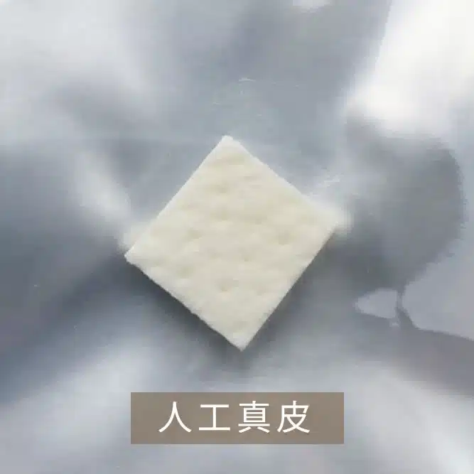 人工真皮の写真　岡山
